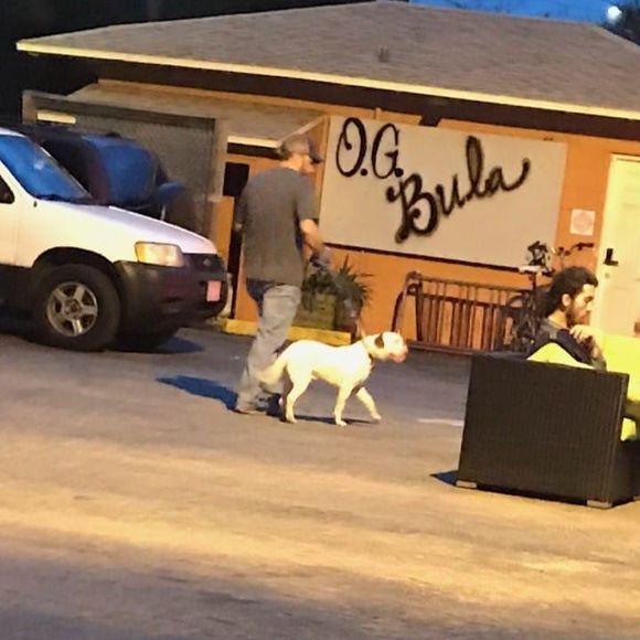 Meet your Posher, Joey - Picture 1 of 1